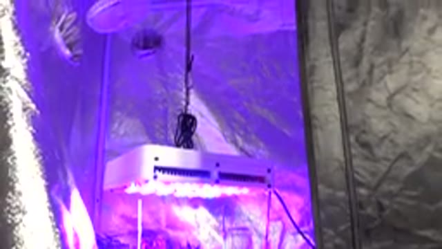 WESTMINSTER COLORADO-2015: Light In A Room Shining On Plants For Growing