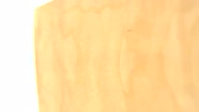 WESTMINSTER COLORADO-2015: The Cardboard Like Object Spins In Front Of The Camera