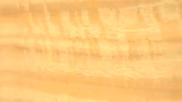 WESTMINSTER COLORADO-2015: Brown Wood Texture With Glossy Shine