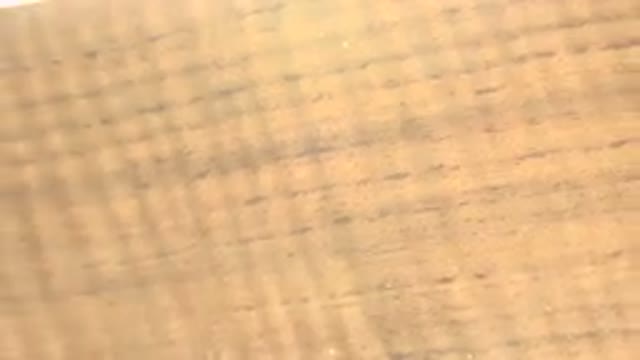 WESTMINSTER COLORADO-2015: Wavy Wooden Board Spinning With A Light In The