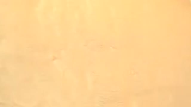 WESTMINSTER COLORADO-2015: A Yellow Orange Plate And A Rectangular Pie Rotating