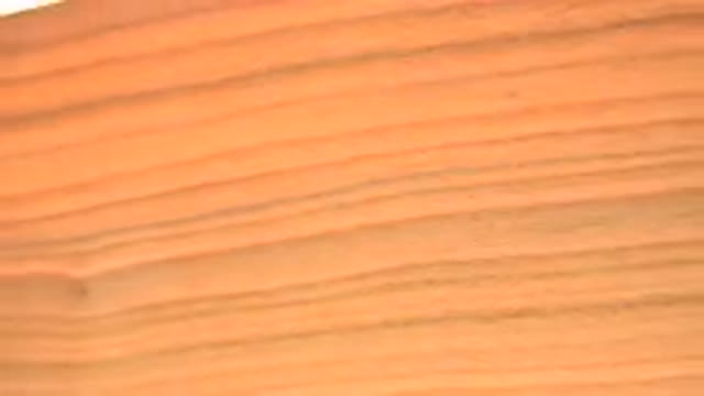 WESTMINSTER COLORADO-2015: Bright Wood Panel Spinning Grain Turning Revolving