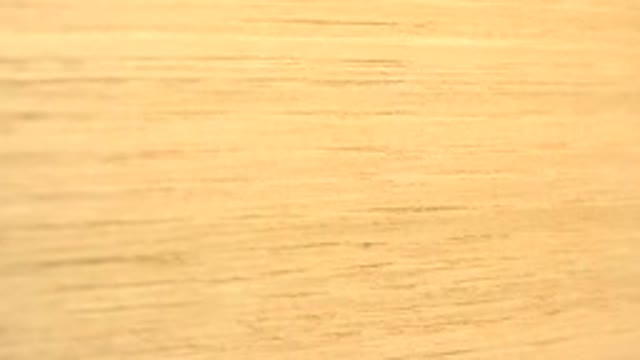 WESTMINSTER COLORADO-2015: Rotating Wood Board