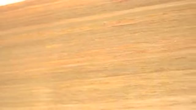 WESTMINSTER COLORADO-2015: Spinning Wooden Board with Bored Child and Background Light