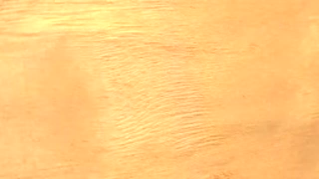 WESTMINSTER COLORADO-2015: A Piece of Yellow/Orange Metal Rotating