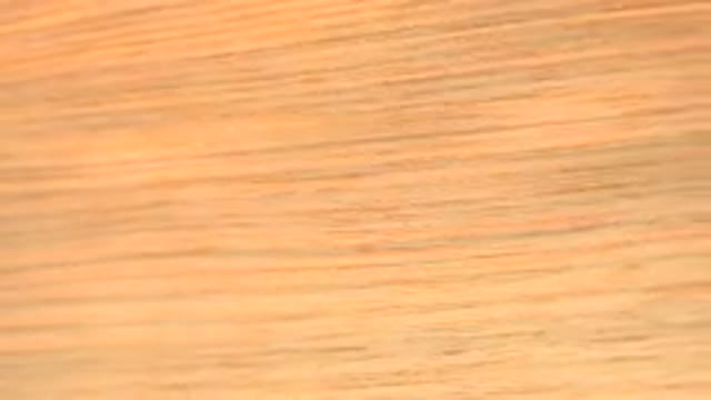WESTMINSTER COLORADO-2015: A Wooden Board Spinning On A Revolving Table