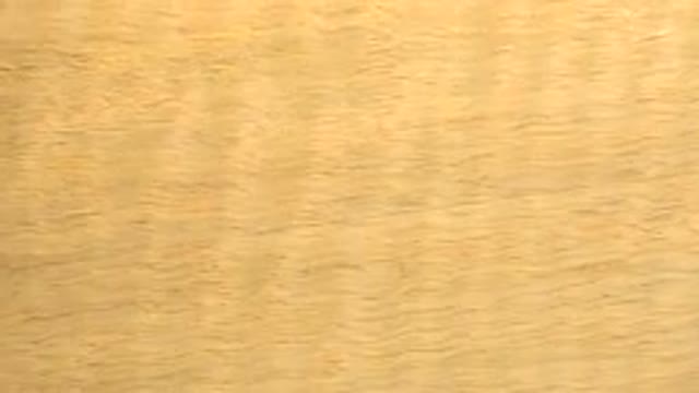 WESTMINSTER COLORADO-2015: Wood Texture With Color In Shades Of Brown And With
