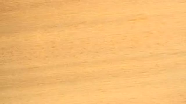 WESTMINSTER COLORADO-2015: Doubt Image Running With Small Holes And Yellowish