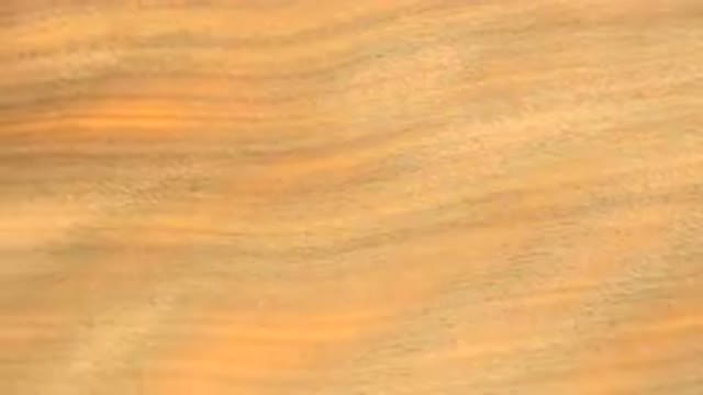 WESTMINSTER COLORADO-2015: A Piece of Yellow Metal Rotating