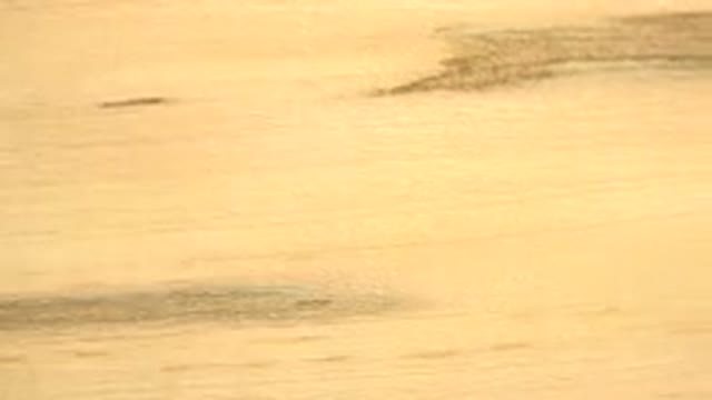 WESTMINSTER COLORADO-2015: Wood Board Spinning on a Revolving Table