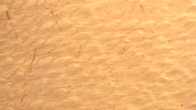 WESTMINSTER COLORADO-2015: A Piece Of Wood On A Flat Surface