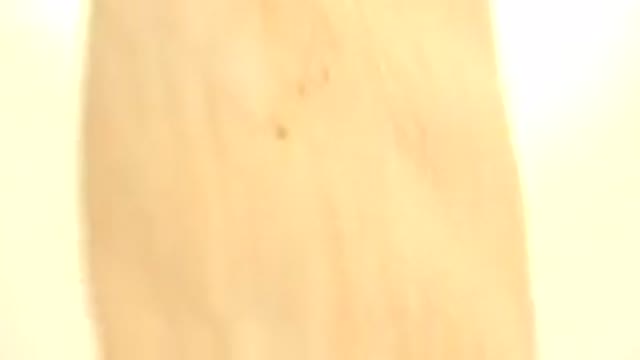 WESTMINSTER COLORADO-2015: Close Up Rotating Gold Coin Under White Light