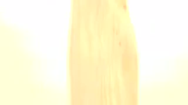 WESTMINSTER COLORADO-2015: Rotating Gold Coin Under a White Light