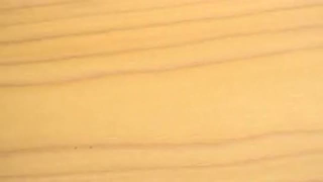 WESTMINSTER COLORADO-2015: Wooden Board Spinning With Background Light
