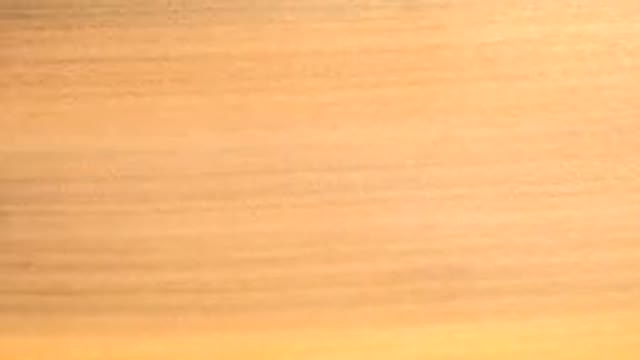 WESTMINSTER COLORADO-2015: Rotating Wood Peace Presentation Color Of Yellow