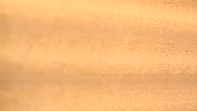 WESTMINSTER COLORADO-2015: Rotating Wood Peace Presentation Color Of Yellow