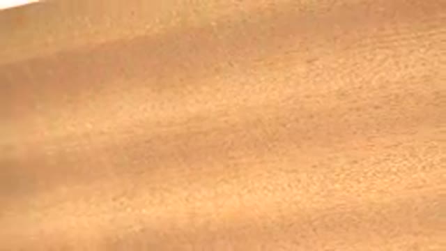 WESTMINSTER COLORADO-2015: A Planar Object Spinning in a Science Exhibit