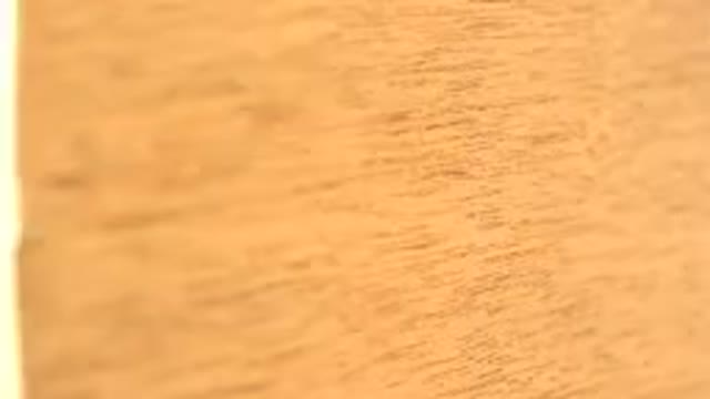 WESTMINSTER COLORADO-2015: A Thin Yellow Wooden Object Rotating in Motion