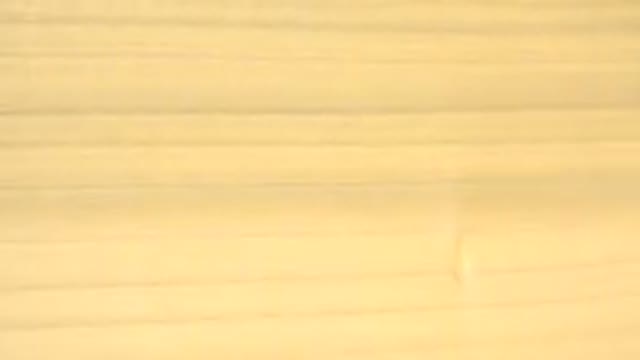 WESTMINSTER COLORADO-2015: A Weird Thin Rectangular Yellow Plate Rotating