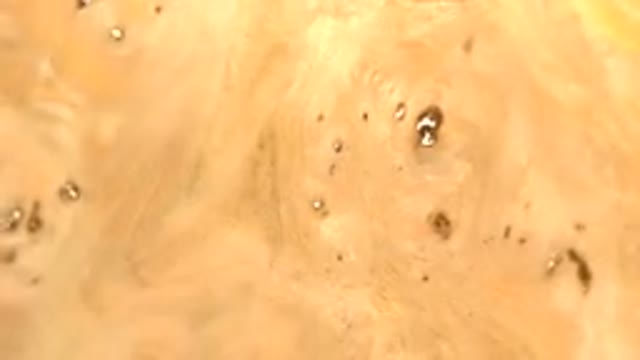 WESTMINSTER COLORADO-2015: A Thin Layer Piece Of Wood In A Circle Motion On A