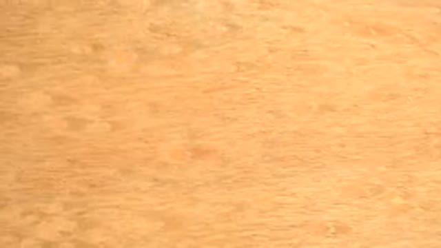 WESTMINSTER COLORADO-2015: Rotating Orange Image Resembling Skin Or The Sun