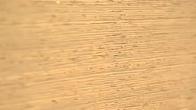 WESTMINSTER COLORADO-2015: Close Up A Rotating Expensive Yellow Object