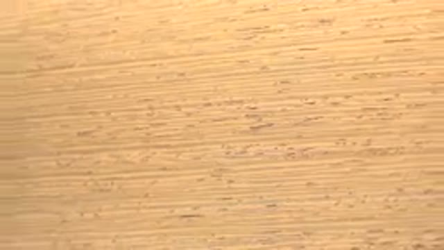 WESTMINSTER COLORADO-2015: Rotating Sheet of Fibrous Light Tan Brown Material