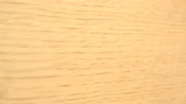 WESTMINSTER COLORADO-2015: A Spinning Piece of Wood with Small Markings