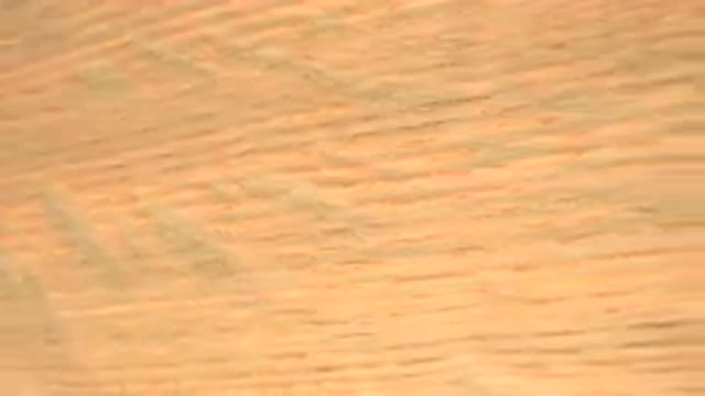 WESTMINSTER COLORADO-2015: Rotating Wood Board on a Revolving Table