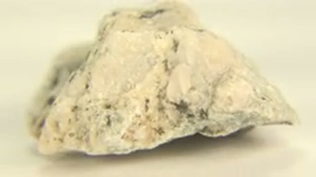 WESTMINSTER COLORADO-2015: White Deformed Rock With Zoom Rotating In A White