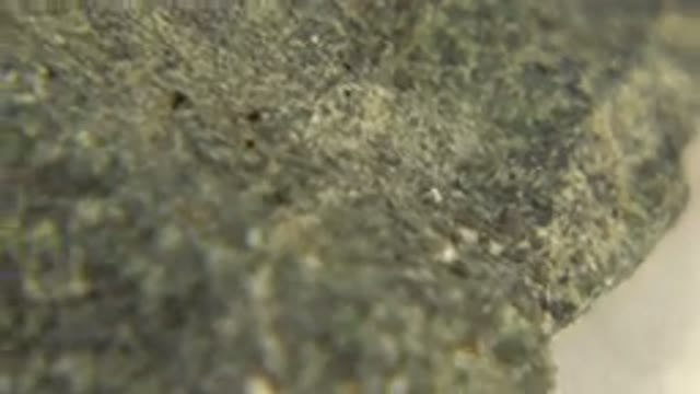 WESTMINSTER COLORADO-2015: Close Up Rotating Black Quartz Rock Under White Light