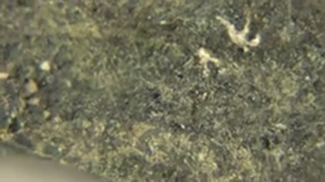 WESTMINSTER COLORADO-2015: Beautiful Close-Up On The Mineral Showing Details Of