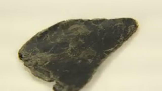 WESTMINSTER COLORADO-2015: Large Piece Of Black And Yellow Quartz Crystal Rock