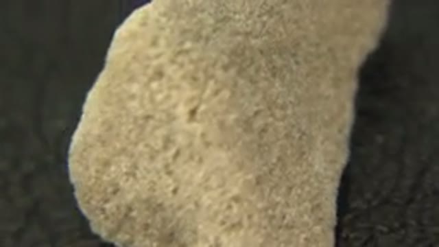 WESTMINSTER COLORADO-2015: Approximate Image Of A Yellow Stone Rotating