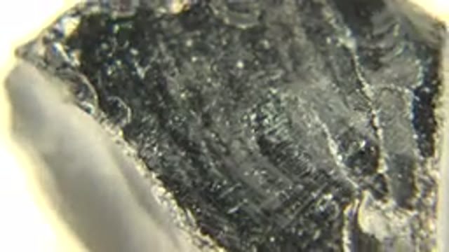 WESTMINSTER COLORADO-2015: Camera Circling Around And Showing Closeups Of A Fossilized Rock