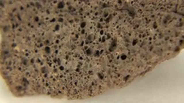 WESTMINSTER COLORADO-2015: Close Up Rotating a Lateral Cut Brown Sponge
