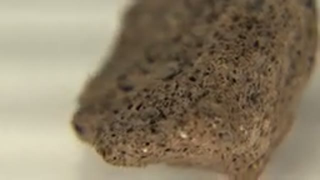 WESTMINSTER COLORADO-2015: Stone With A Very Obscure Shape Observed With A