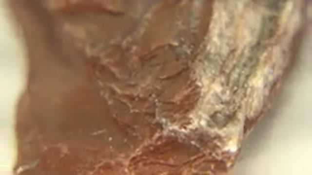 WESTMINSTER COLORADO-2015: Brown Reddish Rock On A Spinning Table