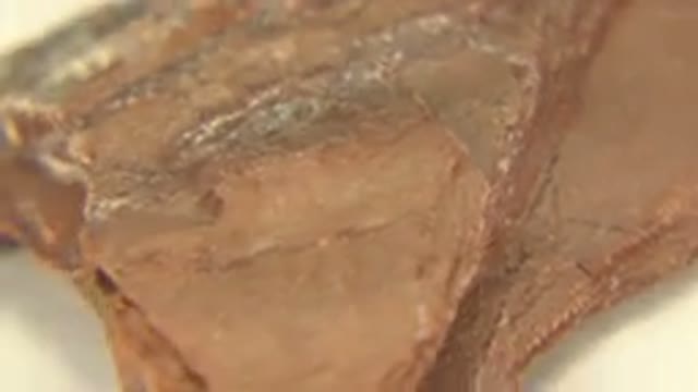 WESTMINSTER COLORADO-2015: Close Up Rotating Brown Rock Under White Light
