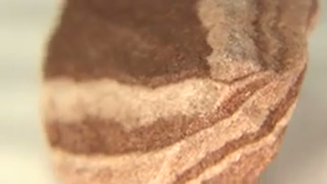 WESTMINSTER COLORADO-2015: Close Up Rotating Brown And Yellow Rock On A White