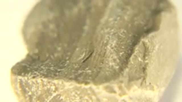 WESTMINSTER COLORADO-2015: Yellow Piece Of Rock Or Stone With Many White Dots