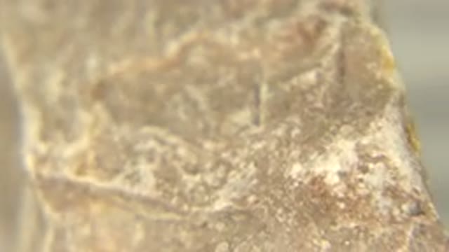 WESTMINSTER COLORADO-2015: Brownish White Rock On A Spinning Table