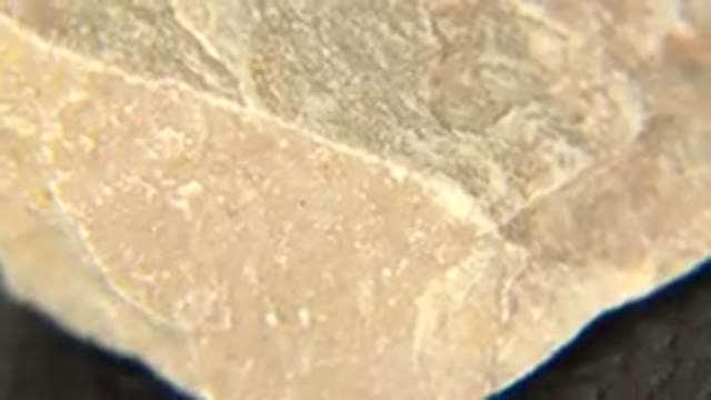 WESTMINSTER COLORADO-2015: A Stone Being Evaluated Closely Showing The Small Details