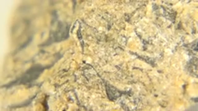 WESTMINSTER COLORADO-2015: Mineral Exhibition Museum