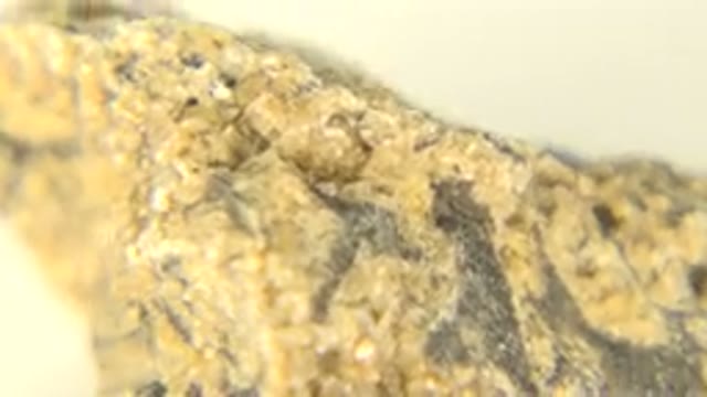 WESTMINSTER COLORADO-2015: Close-Up Record Of A Rock That Looks Like A Gold