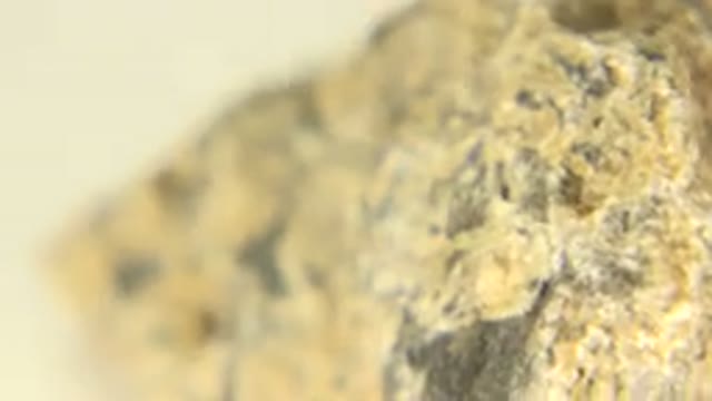 WESTMINSTER COLORADO-2015: A Close-Up of a Rock With Embedded Quartz and Veins