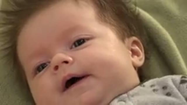 WESTMINSTER COLORADO-2015: Bright And Wide-Eyed Little Baby Gives A Nice Big Yawn