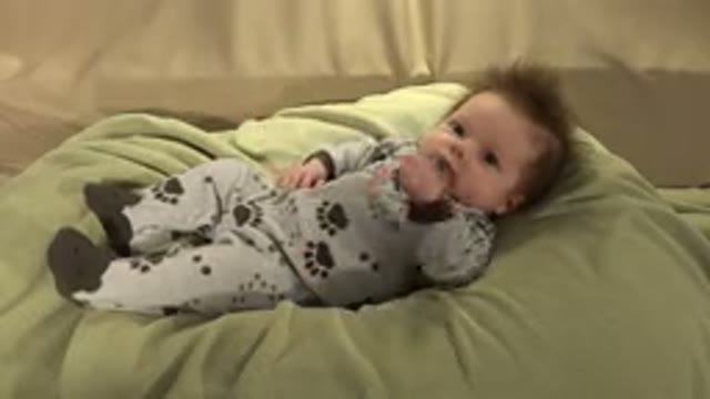 WESTMINSTER COLORADO-2015: Baby With Small Gooey Hair in Gray Puppy Pajamas