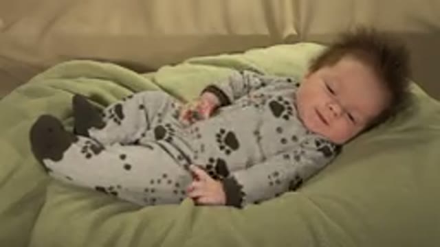 WESTMINSTER COLORADO-2015: Little Baby in Black and Gray Wear with Brown Eyes