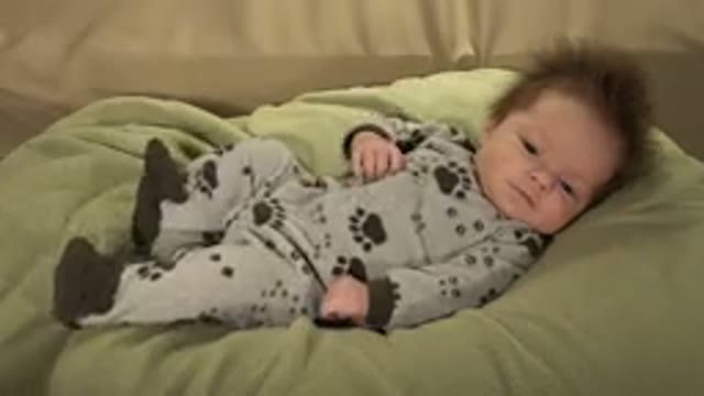 WESTMINSTER COLORADO-2015: Small Baby Lying On A Green Cushion Moving His Arms